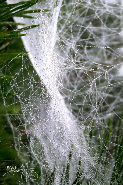 Фотовиставка Тетяни Должко